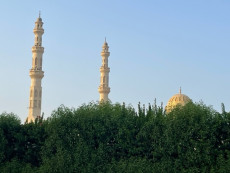 Mešita z dálky