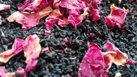Černý čaj Ceylon s růží