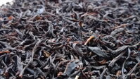 Azorský  černý čaj  Orange pekoe